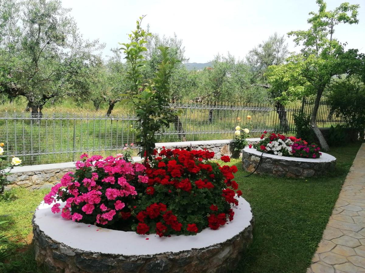 Eleni'S Holiday Home กาลามาตา ภายนอก รูปภาพ